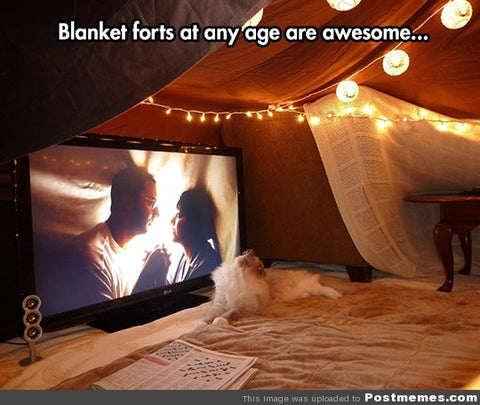 blanket fort