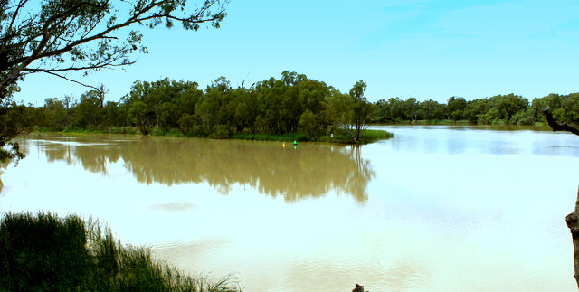 Wentworth, at  the junction of the Darling and Murray Rivers.