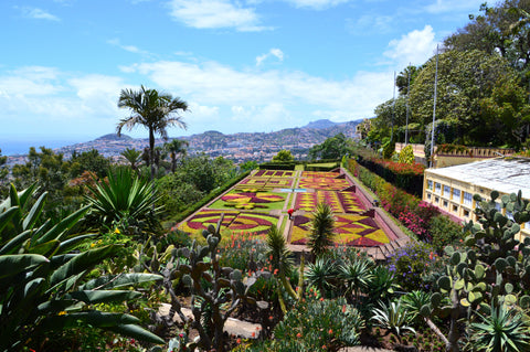 Jardim Botanico, Madeira