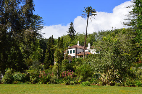 Palheiro Gardens, Funchal