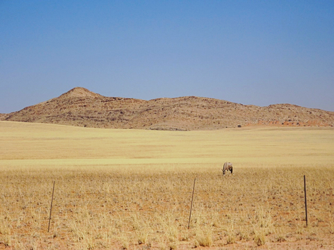 Savannahs on the way to Swakopmund