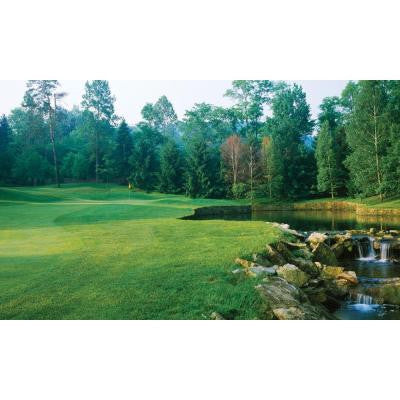 100 in. x 60 in. Window Well Scene - Fairway