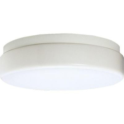 Hard-Nox Collection White 2-light Outdoor Flushmount