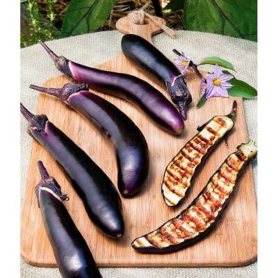 4 in. Ichiban Eggplant