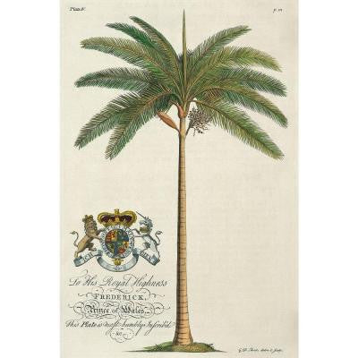 24 in. x 36 in. "King Palm" by Porter Design Gallery Wrapped Canvas Wall Art