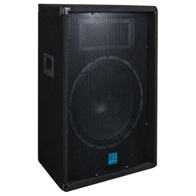GT Passive Loudspeaker with 12 in. Woofer