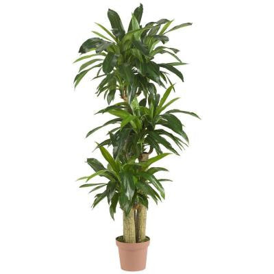 Real Touch 57 in. H Green Corn Stalk Dranaena Silk Plant