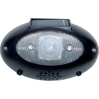Eyewatch Outdoor Wireless Black Solar LED Lighted Security Motion Alarm Detector