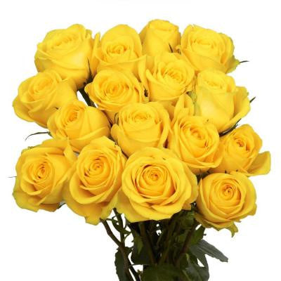 Yellow Roses (50 Stems) Includes Free Shipping