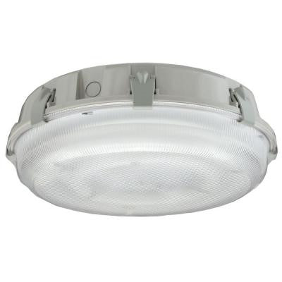 Xtreme 1-Light Fluorescent Wet Light Utility Light