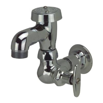 Single Hole Bedpan Washer in Chrome