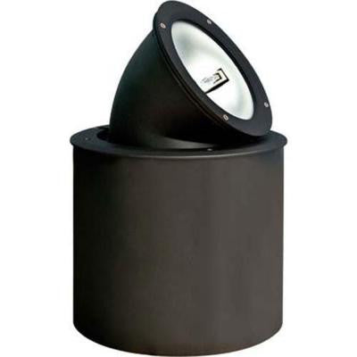 Brantley 1-Light Black Outdoor In-Ground Well Light