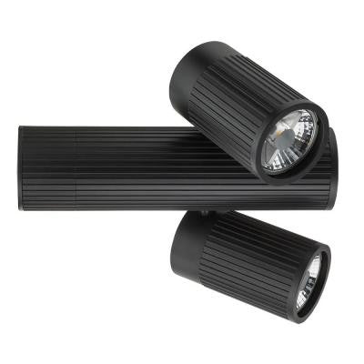 2-Light Black Front Loading Commercial Track Head