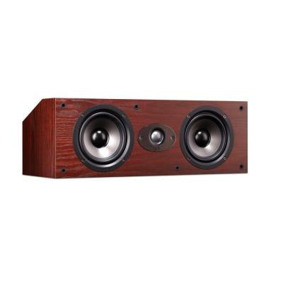 Dual 5.25 in. Center Channel Loudspeaker