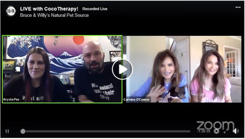 LIVE with CocoTherapy! Interview with Krysta Fox and Jeff DiRe
