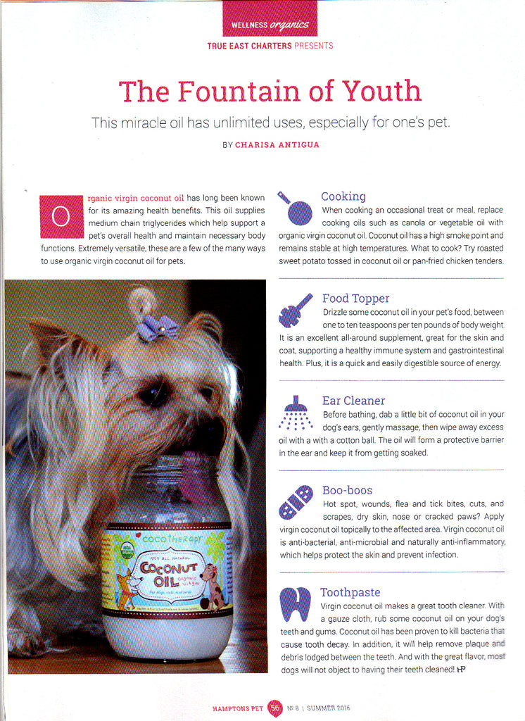 Hamptons Pet magazine article