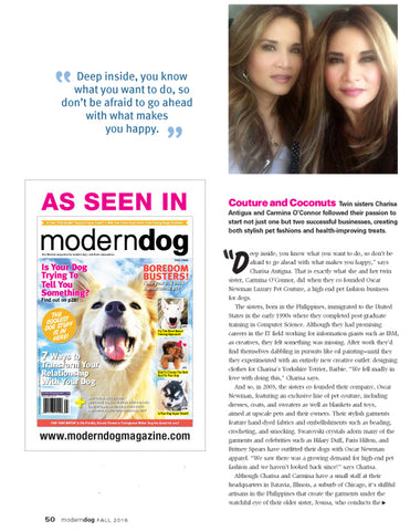 Modern Dog, Entrepeneurs article