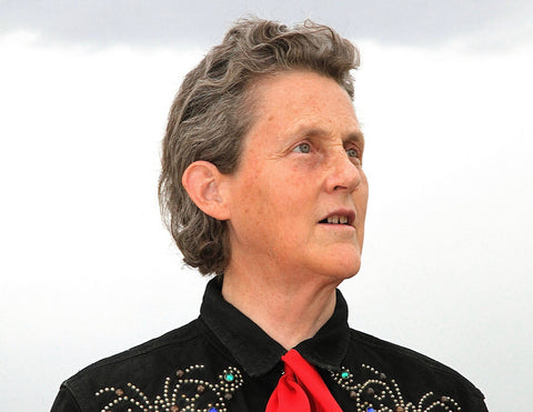 Temple Grandin endorses My Feelings game