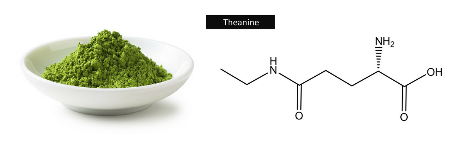 L-Theanine Matcha Benefits