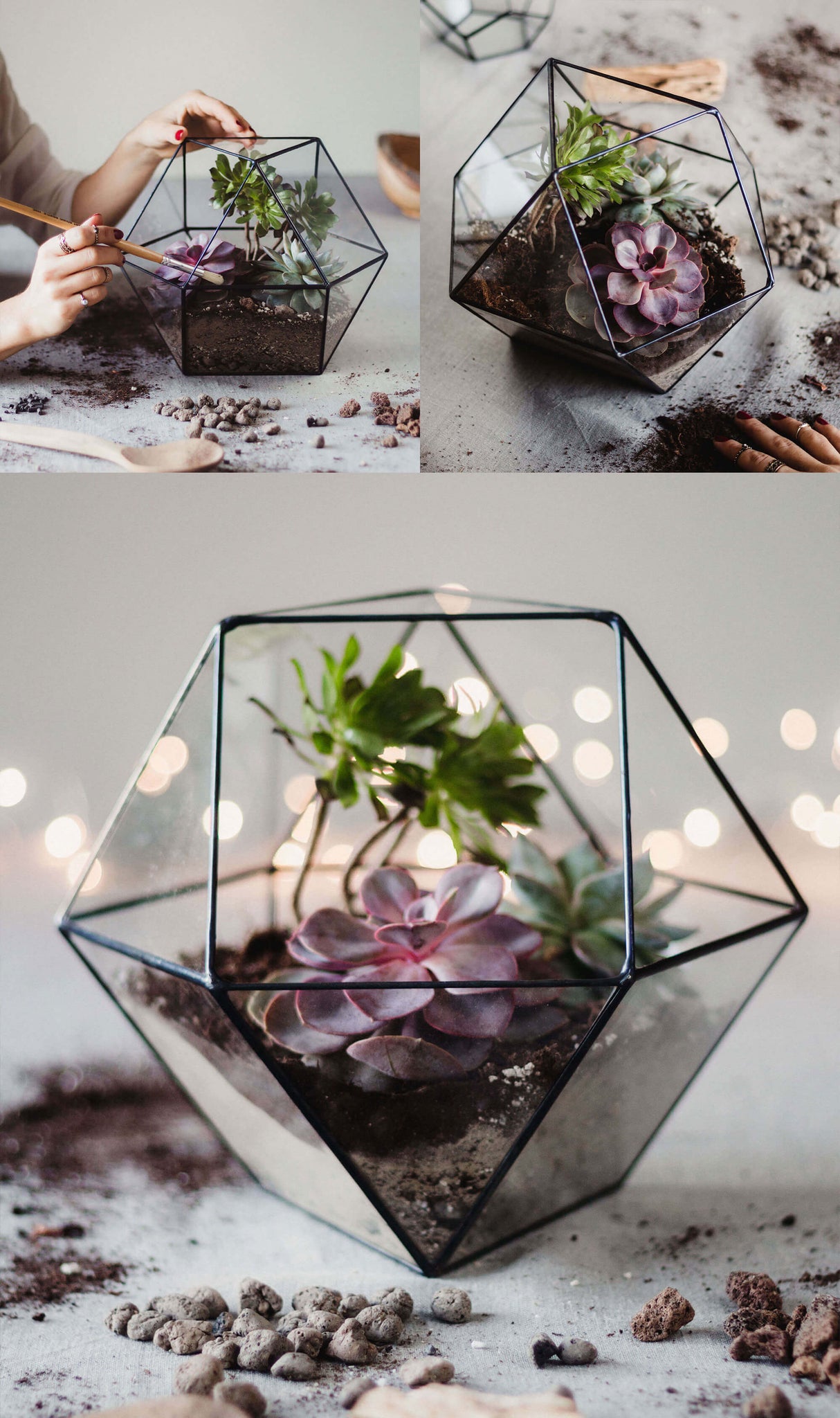 how-to-make-a-terrarium