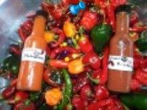 Make your own Hot Pepper Sauce for gifts