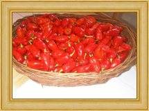 Basket of Ghost Peppers at Pepper Joe's