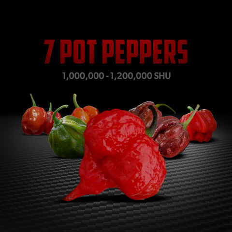 seven pot pepper ready to burn your tongue off