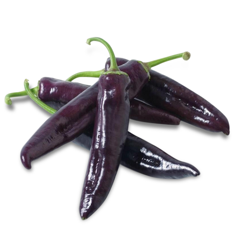purple marconi pepper