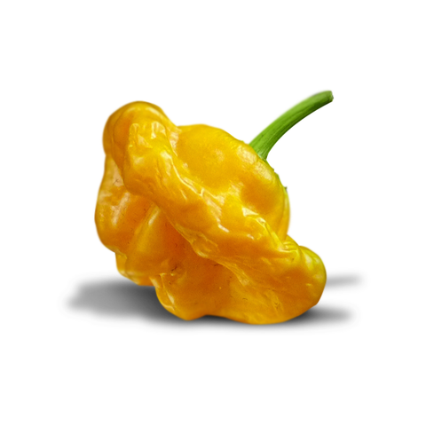 jamaican yellow mushroom pepper