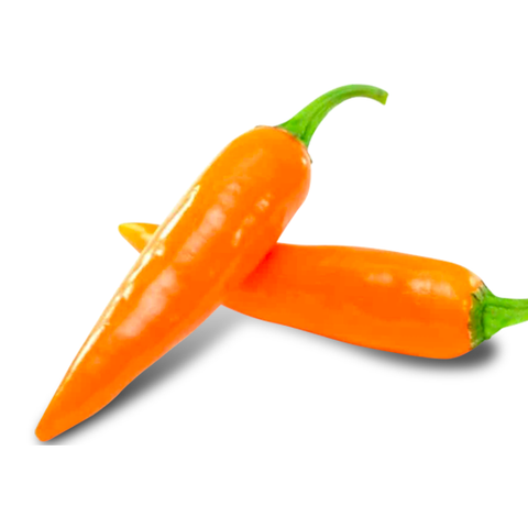 bulgarian carrot pepper scoville is very hot and not like the normal carrot we all know!