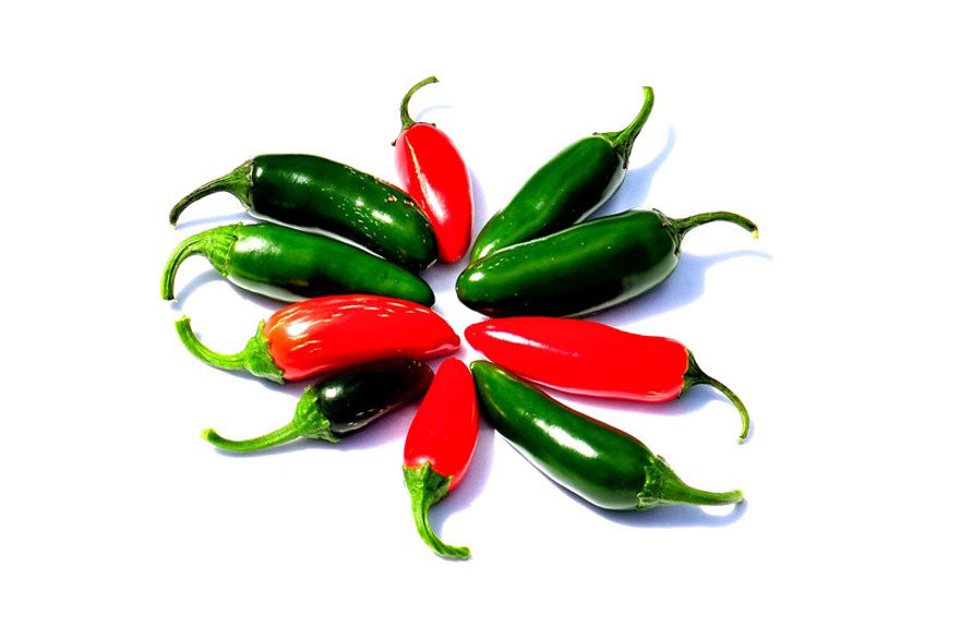 Jalapeno Hot Peppers Variety - Pepper Joe's