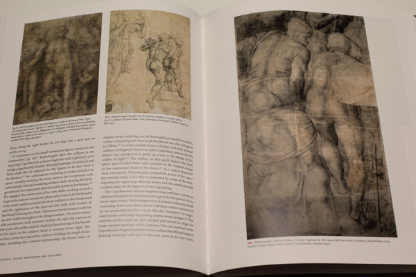 Michelangelo : Divine Draftsman and Designer