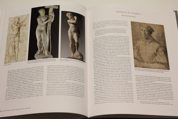Michelangelo : Divine Draftsman and Designer