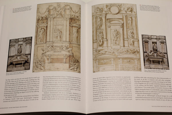 Michelangelo : Divine Draftsman and Designer