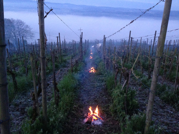 Feuer auf dem Iselisberg