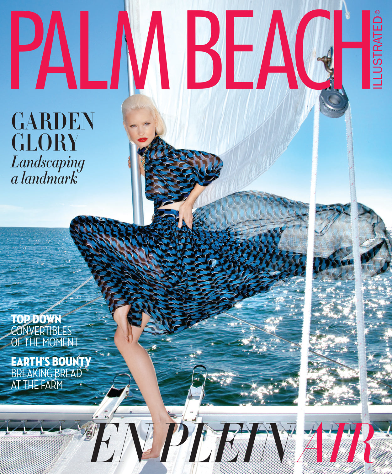 Palm Beach Illustrated February 2016 Cover