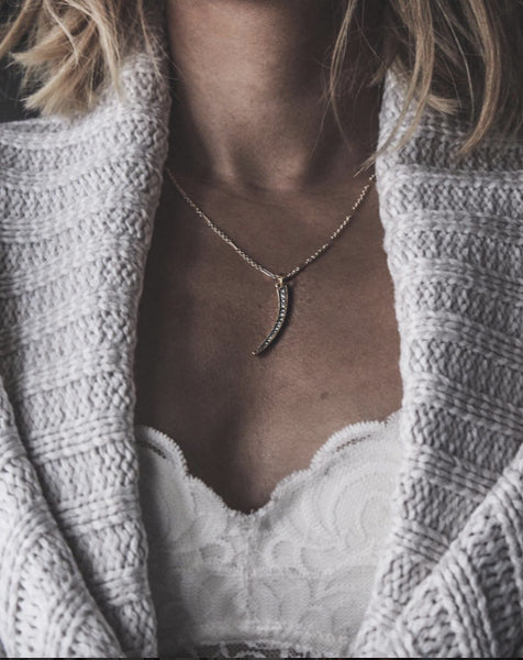 Audrie Storme - Horn Custom Talisman Necklace