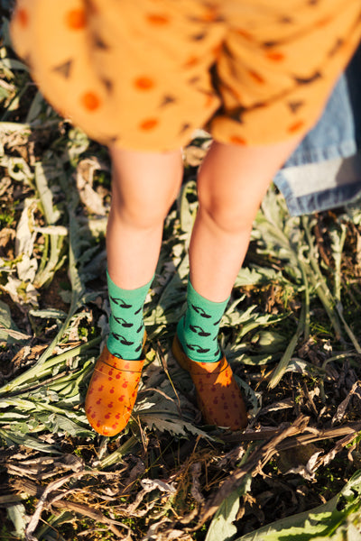 bobo choses usa ss19