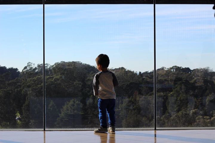 de young museum