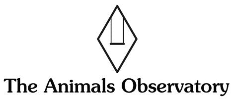 the animals observatory TAO US stockist