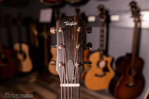 Taylor 300 Series Acoustic Guitars 6
