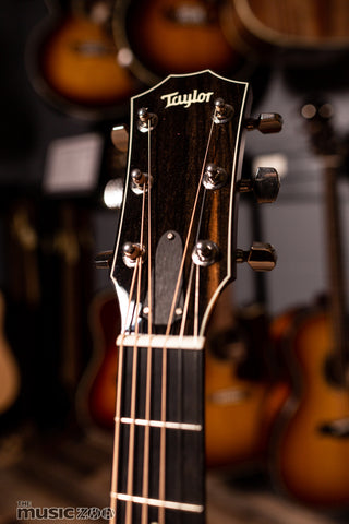Taylor 600 Series Acoustic Guitars 5