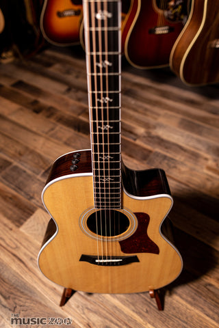 Taylor 400 Series Acoustic Guitars 1