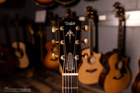 Taylor 900 Series Acoustic Guitars 6