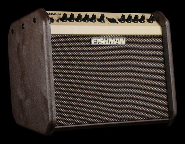 Fishman Loudbox Mini Amp - The Music Zoo