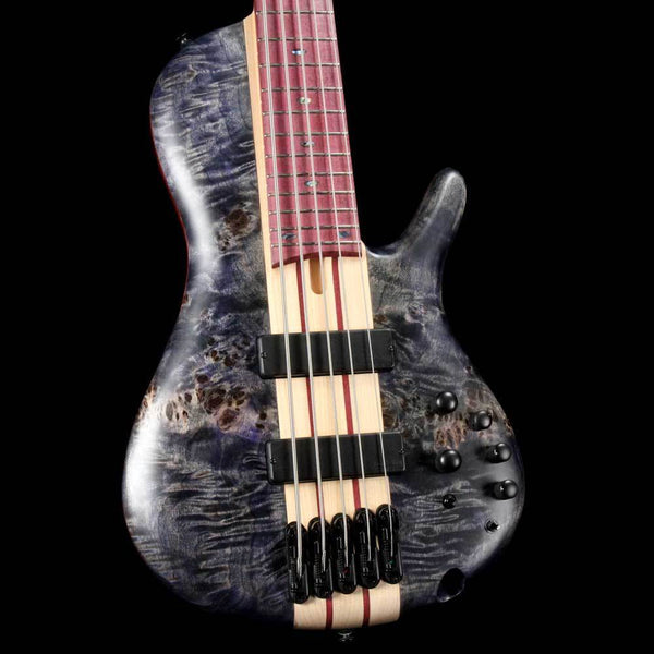 Top 10 Basses In Stock The Music Zoo Tuesday