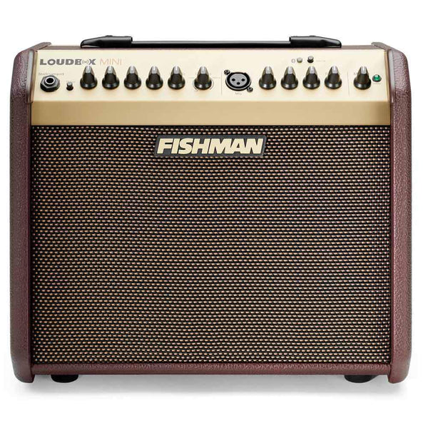 Top 10 Tuesday: Combo Amplifiers The Music Zoo