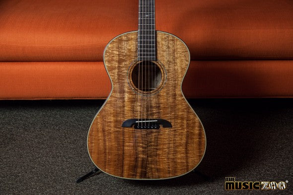 Alvarez Acoustics (2 of 13)