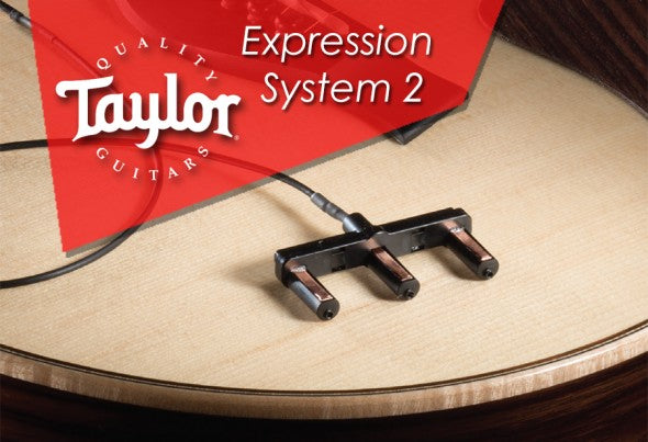 Taylor Expression Main Image 2