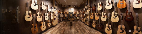 The Music Zoo Panorama Photos Farmingdale